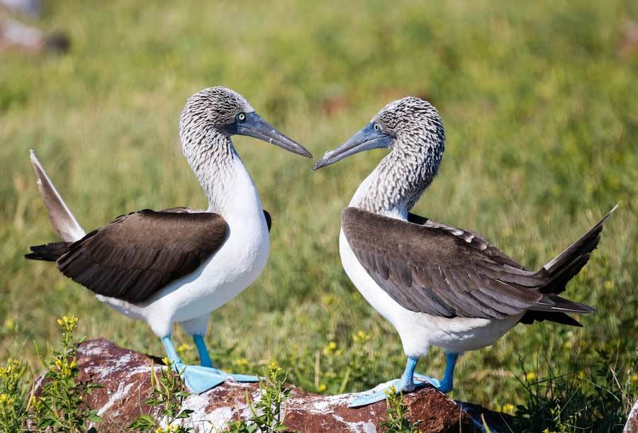 Photo credit: Alex Brittenham