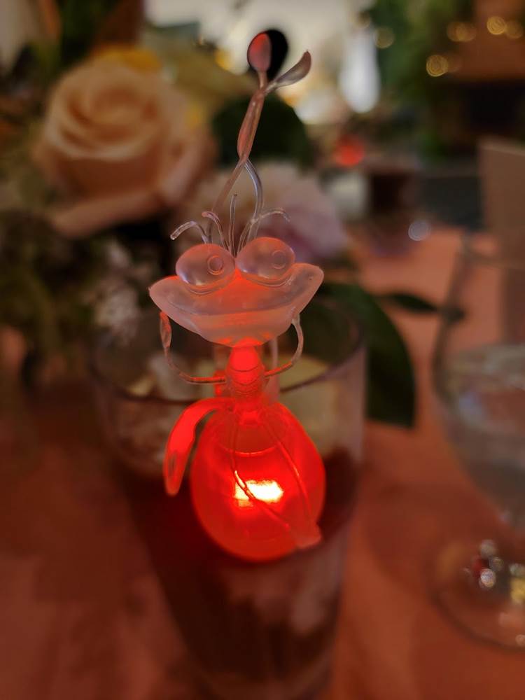 Firefly Ray Glow Cube