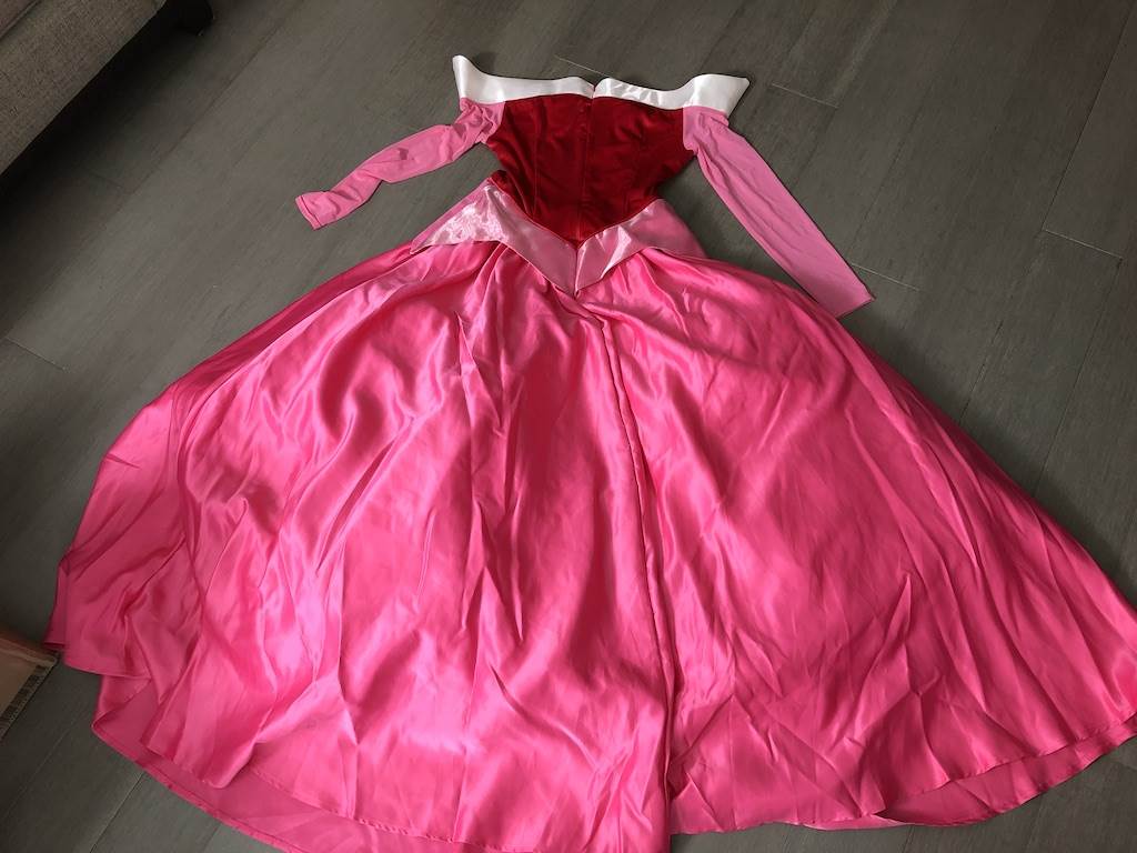 Premium Aurora Costume Dress - Back