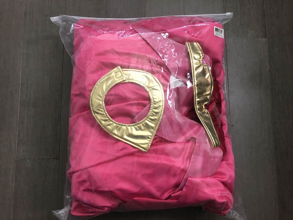 Costume came packed in a slide zipper bag and can be reused for storage.