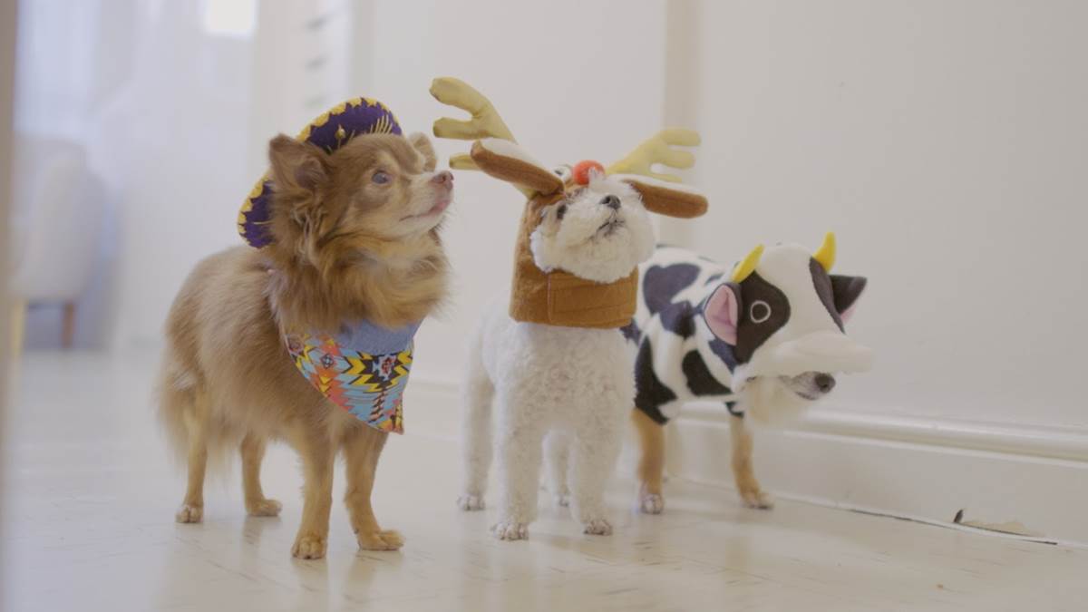 (ABC/ ABC News Studios)