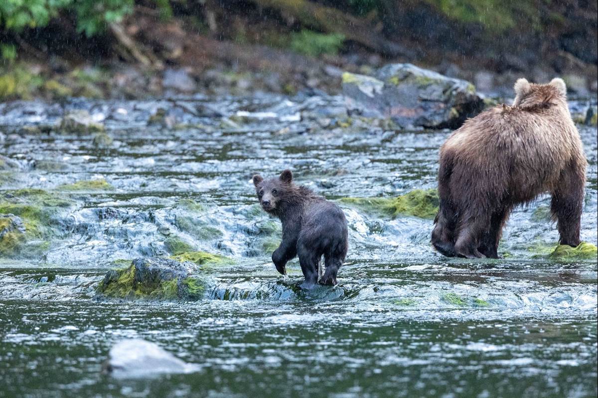 (National Geographic for Disney/Rory Dormer)