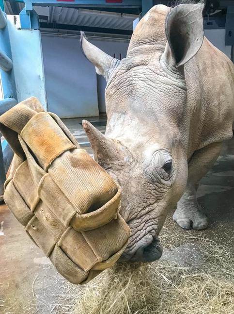 Aaron Wockenfuss/Walt Disney World