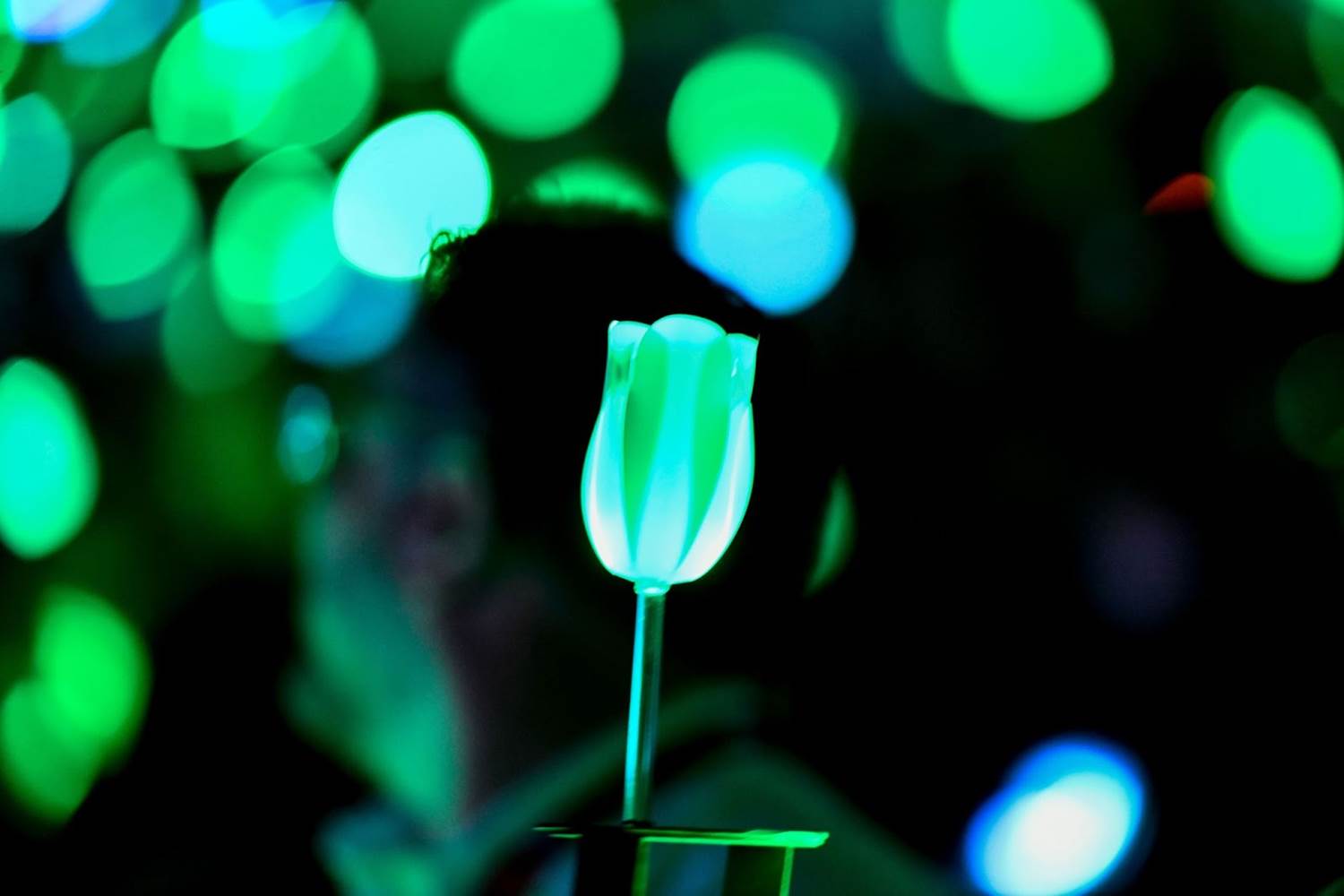 (Jerod Harris/Getty Images for CinemaCon)