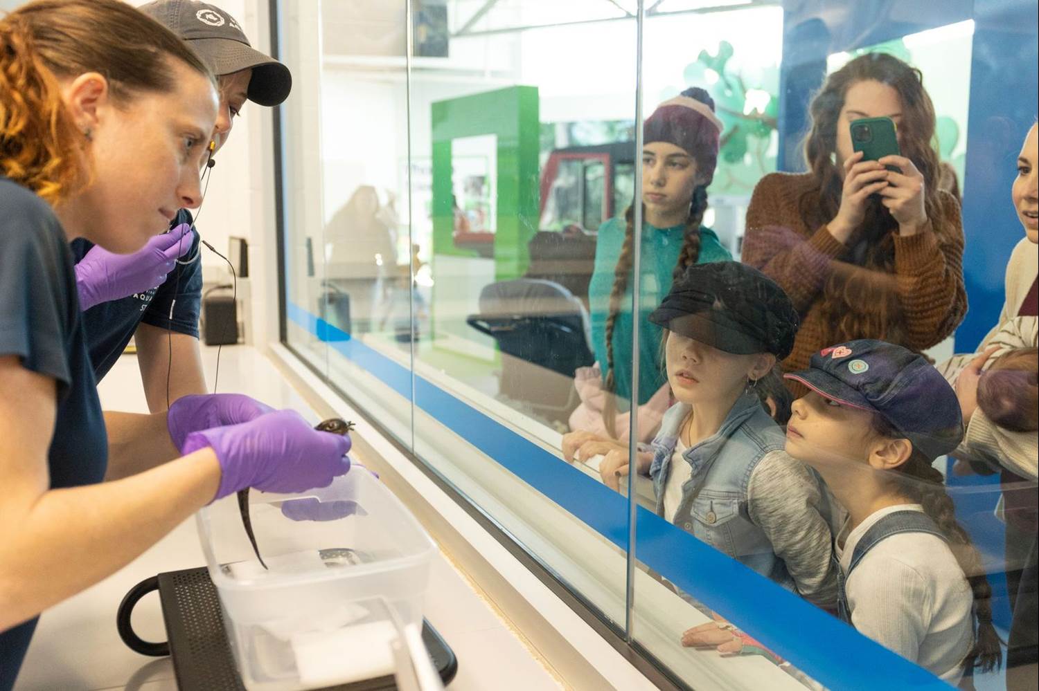 The Virginia Aquarium & Marine Science Center