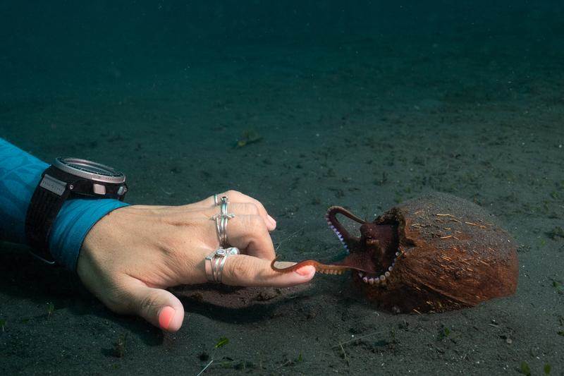 (National Geographic for Disney/Craig Parry)