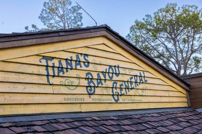 Details in the Tiana's Bayou Adventure queue