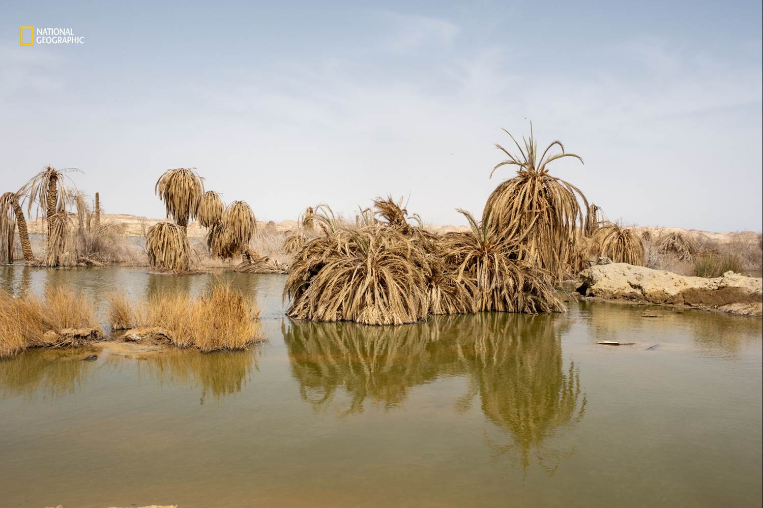 Photo by M'hammed Kilito for National Geographic