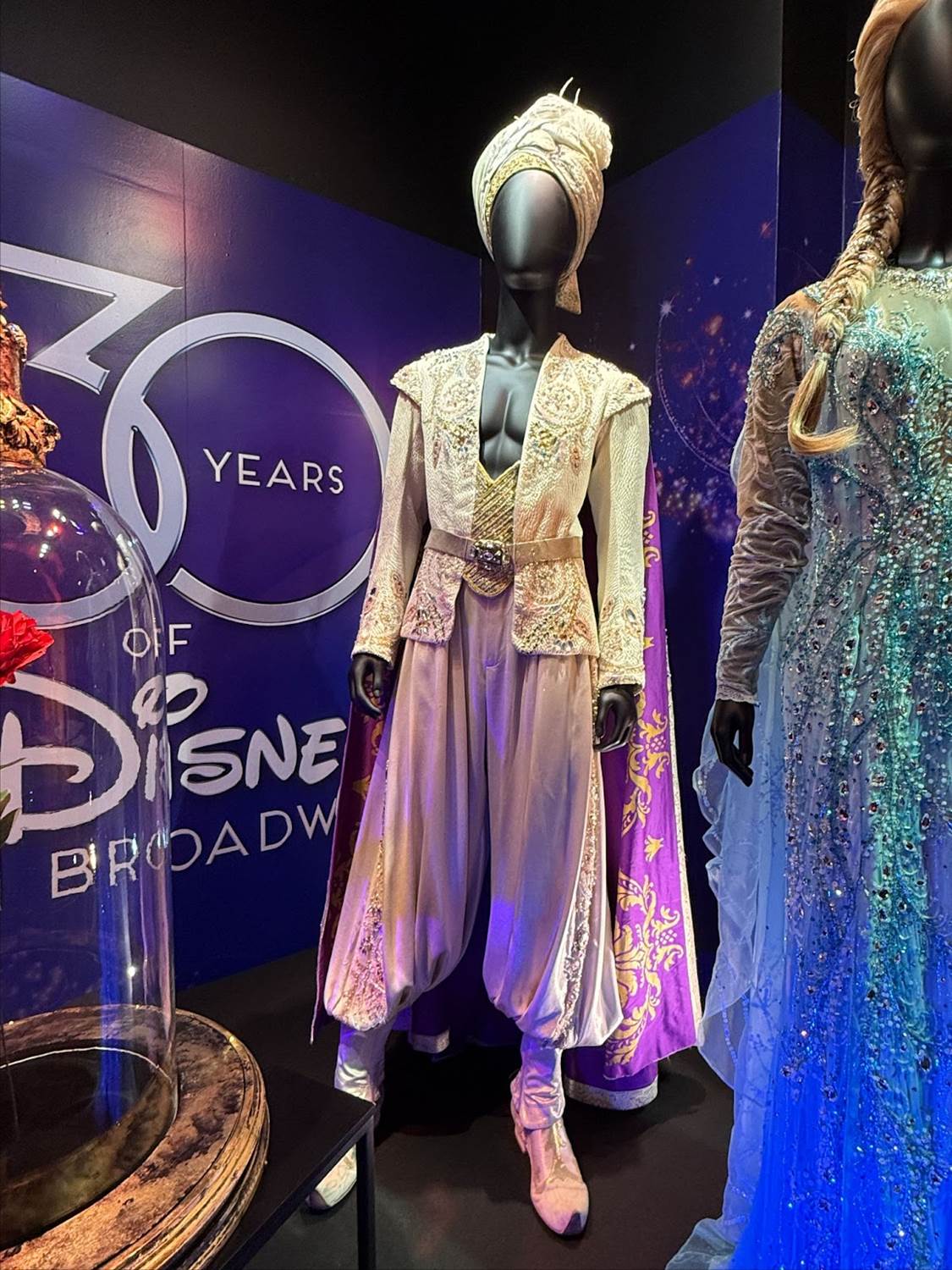 Aladdin from "Aladdin" (2014-Current)