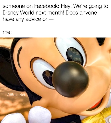10 Painfully Accurate Memes That Only Make Sense to Disney World Experts -  AllEars.Net