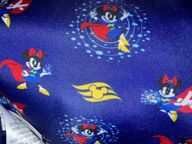 Inside the Loungefly mini backpack