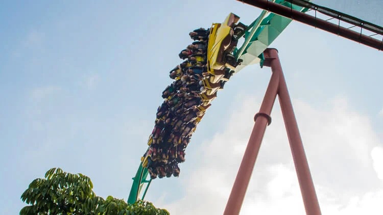 Photo: Busch Gardens Tampa