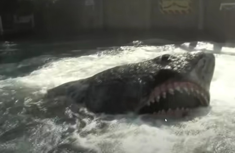 These screenshots come from the video at the end of this article