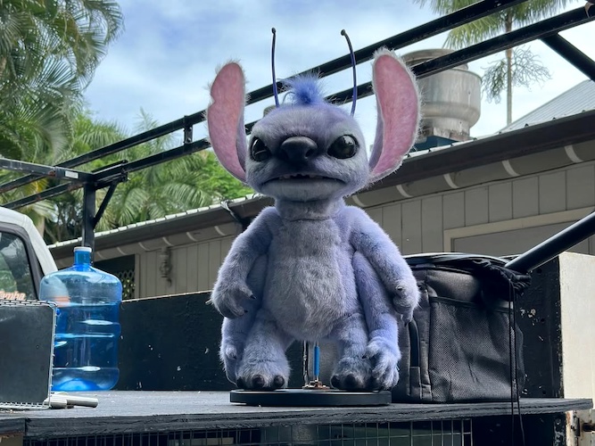 (Kalani Edwards - @wideyedmystic)