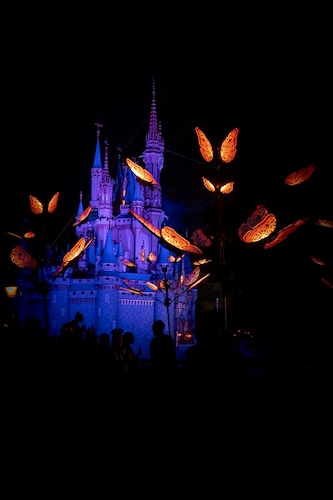 CJ Ayd, WDW Magazine