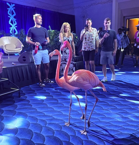 The signature Baha Mar flamingos