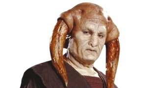 The Iktotchi species.